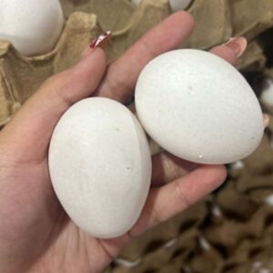 Fresh Eggs per Tray in Tondo Manila | Small, Medium & Large Sizes