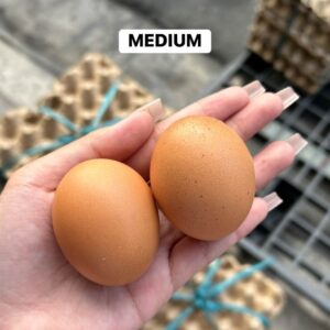 Organic Fresh Eggs Below SRP | Farm Fresh Eggs per Tray