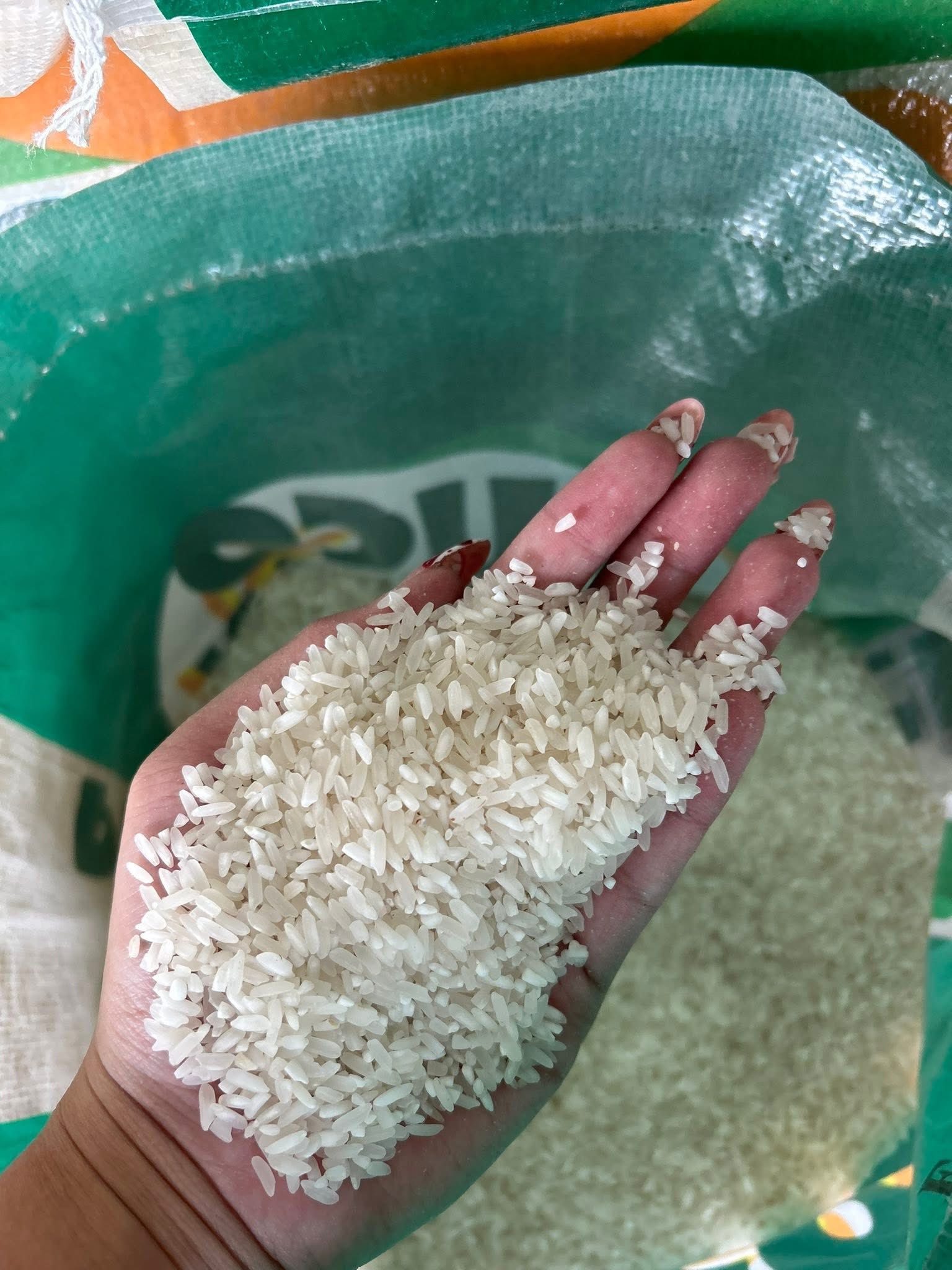Affordable Rice in Tondo for Sale Below SRP | Jasmine, Denorado, Sinandomeng – 25kg Sack - Image 3
