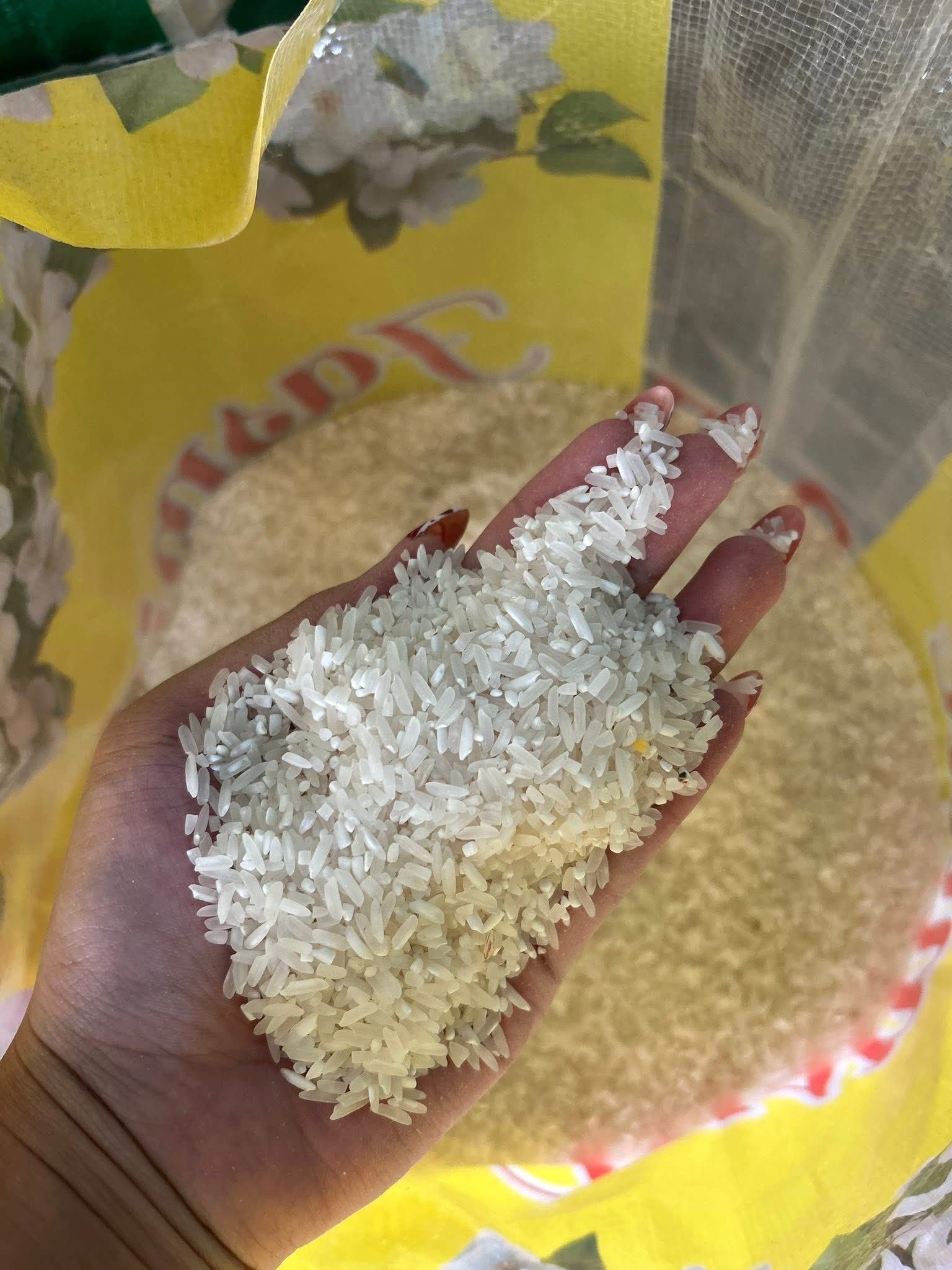 Affordable Rice in Tondo for Sale Below SRP | Jasmine, Denorado, Sinandomeng – 25kg Sack - Image 4