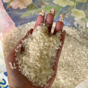 Affordable Rice in Tondo for Sale Below SRP | Jasmine, Denorado, Sinandomeng – 25kg Sack