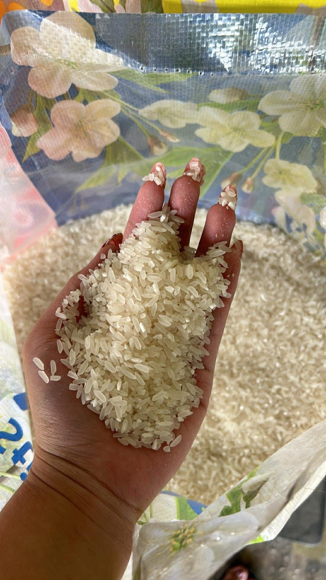 Affordable Rice in Tondo for Sale Below SRP | Jasmine, Denorado, Sinandomeng – 25kg Sack