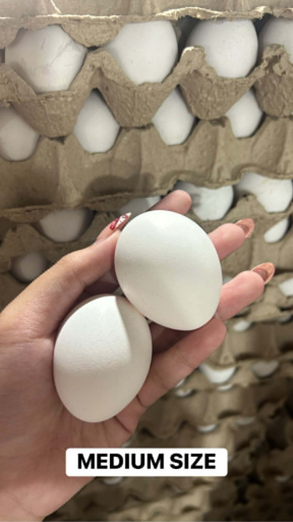 Fresh Eggs per Tray in Tondo Manila | Small, Medium & Large Sizes - Image 2