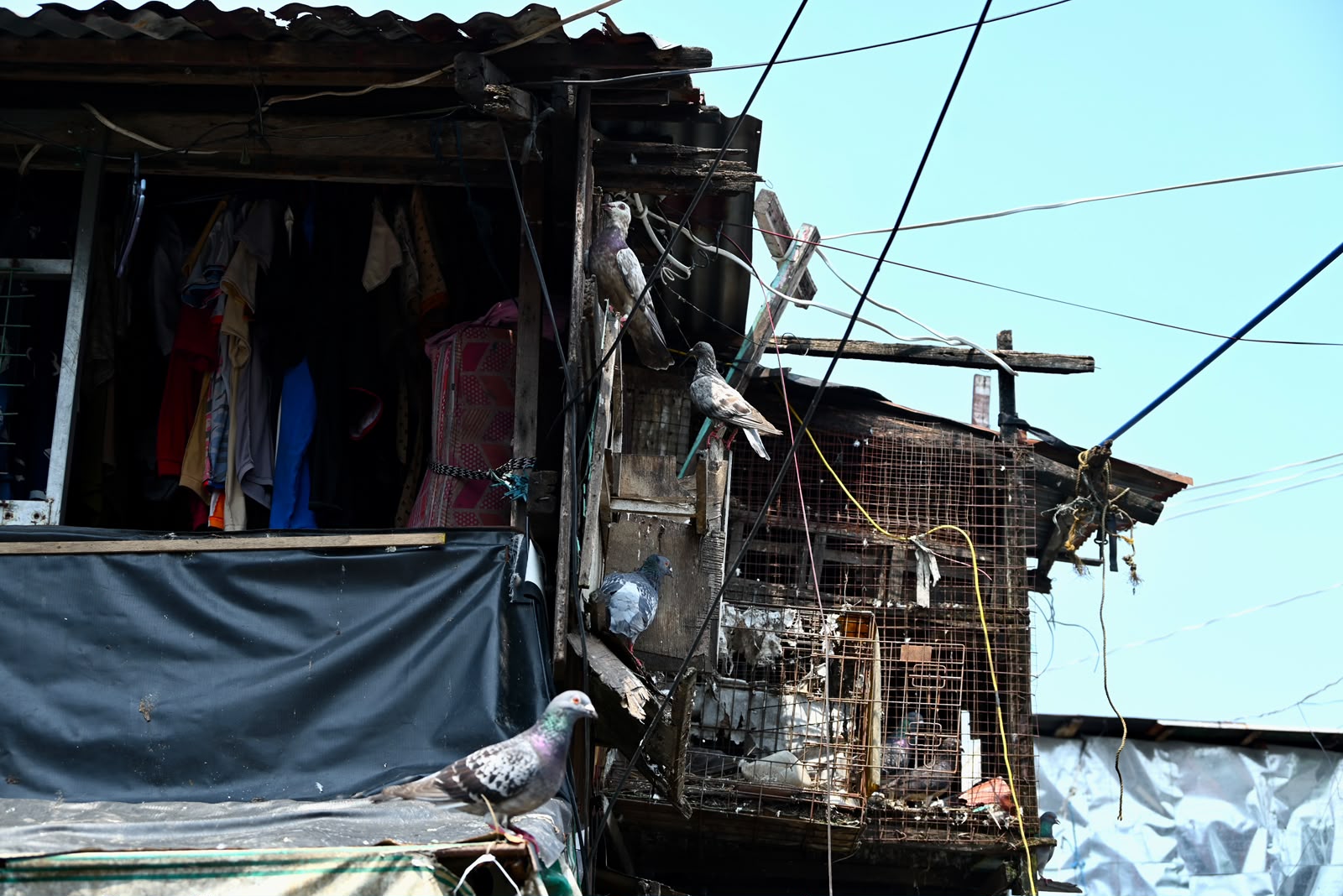 International guests exploring Tondo with Walk In Tondo local guide Ryan